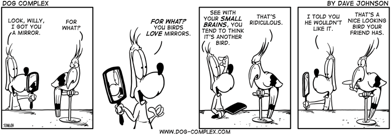 dog